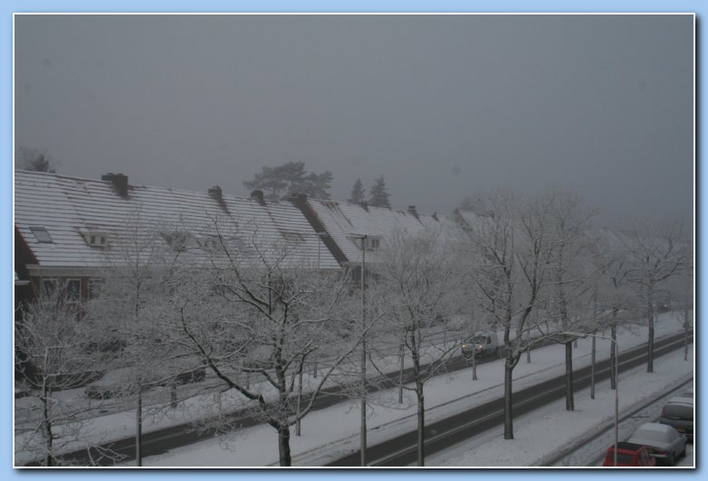 Arnhem Snow 102